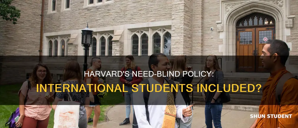 is harvard need blind for international students