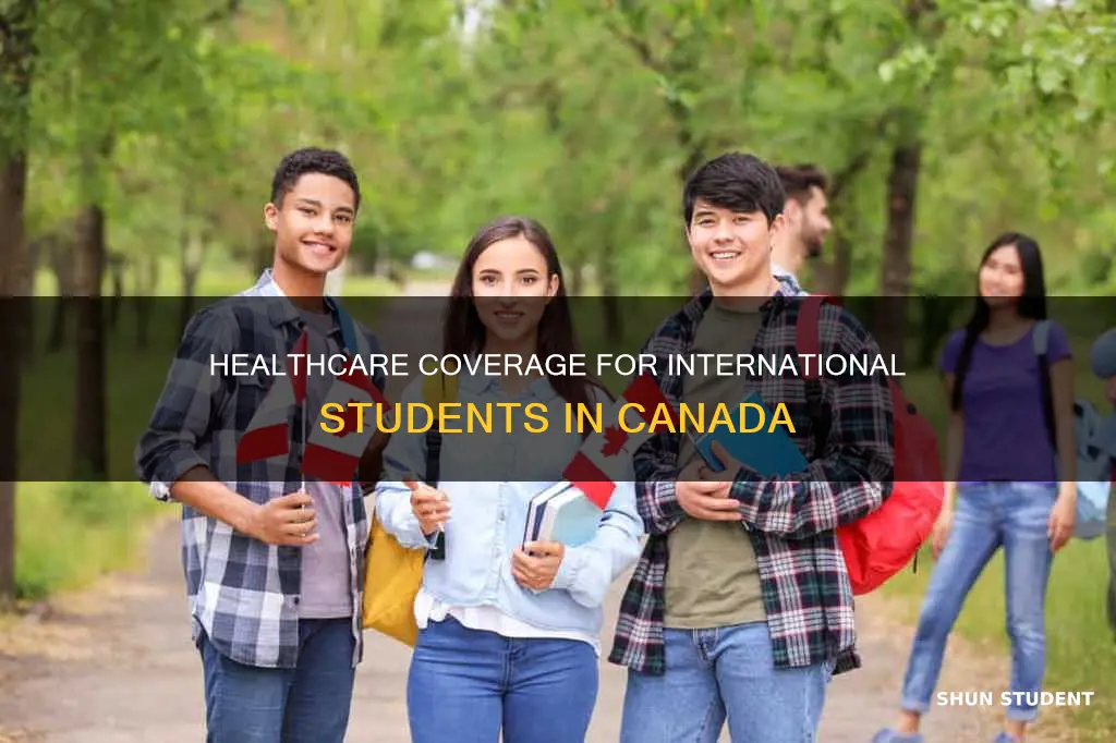 is healthcare free for international students in canada