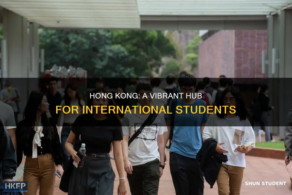 is hong kong good for international students