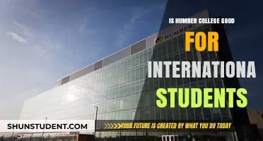 Humber College: A Smart Choice for International Students?