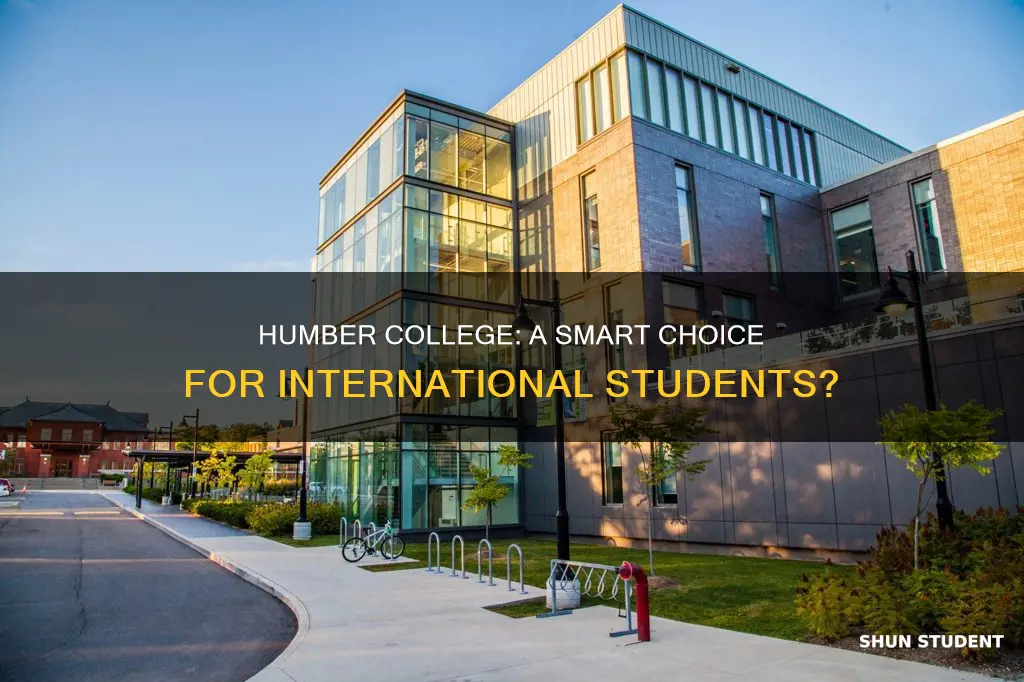 is humber college good for international students