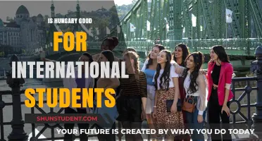 Hungary: A Viable Study Destination for International Students?