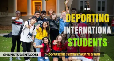 ICE's Student Deportation: What's Happening and Why?