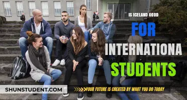 Iceland: An International Student's Dream Destination?