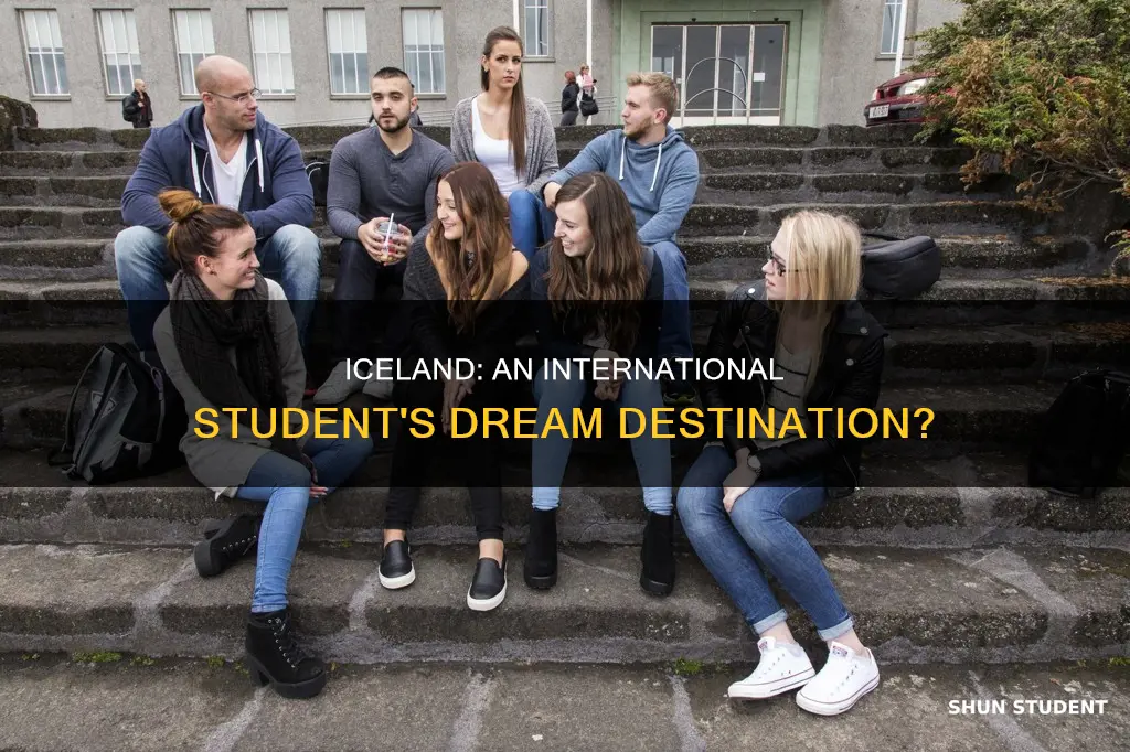 is iceland good for international students