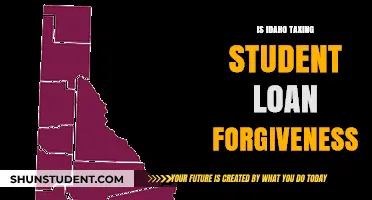 Idaho's Tax Stance on Student Loan Forgiveness: What You Need to Know