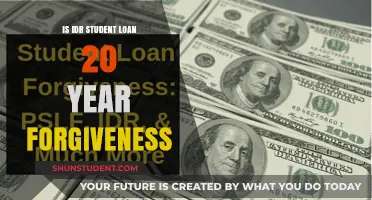 IDR Student Loan Forgiveness: Understanding 20-Year Relief Options