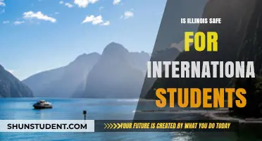 Illinois Safety: A Guide for International Students