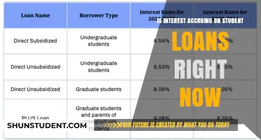 Understanding Student Loan Interest: Current Status and Implications