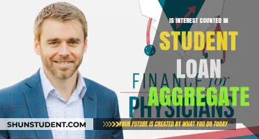 Understanding Student Loan Aggregate: Is Interest Included?