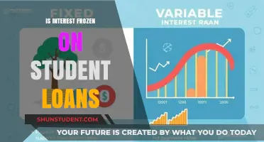 Understanding the Freeze on Student Loan Interest Rates