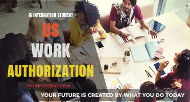 How International Students Can Work in the US