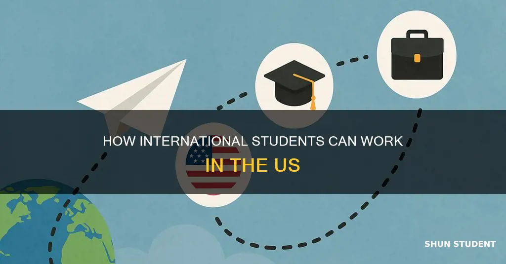 is internation student us work authorization