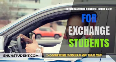 International Driver's License: Validity for Exchange Students