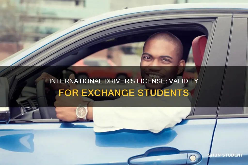 is international driver