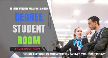 Why Study International Relations? Student Room Insights