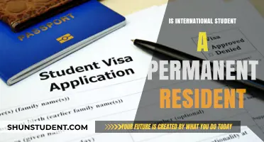 International Students: Permanent Residents or Not?
