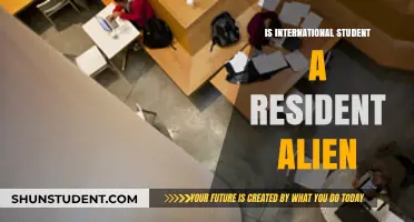 Understanding the Alien Status of International Students