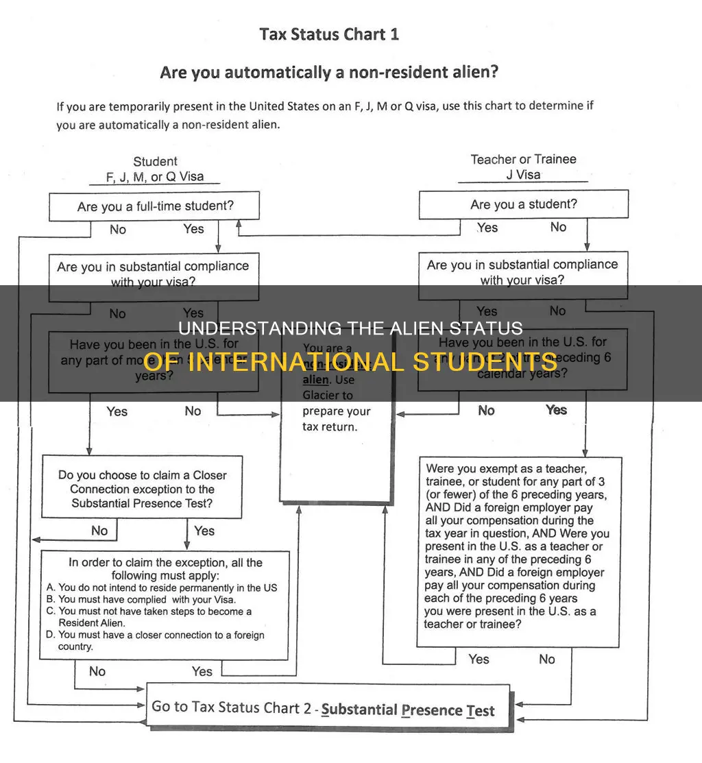 is international student a resident alien