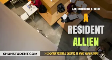 International Students: Resident Alien Status Explained