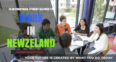 Work Rights for International Students in New Zealand