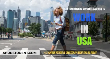 Working in the USA: International Student Opportunities