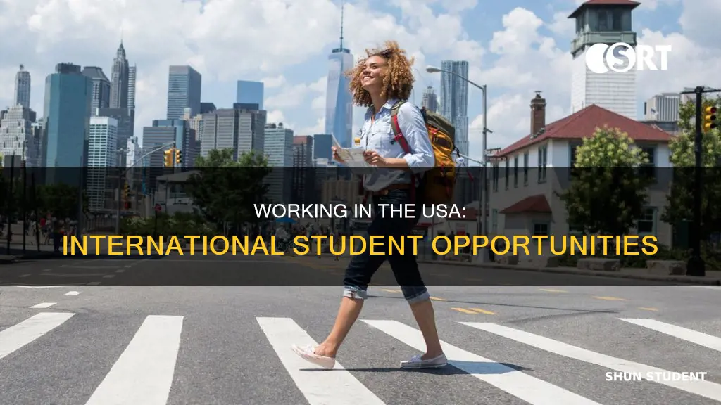 is international student allowed to work in usa