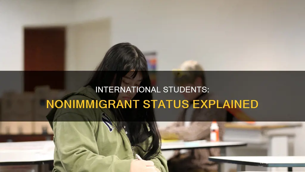 is international student consider as a nonimigrant