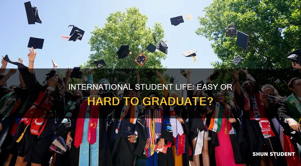 is international student easy to graduate