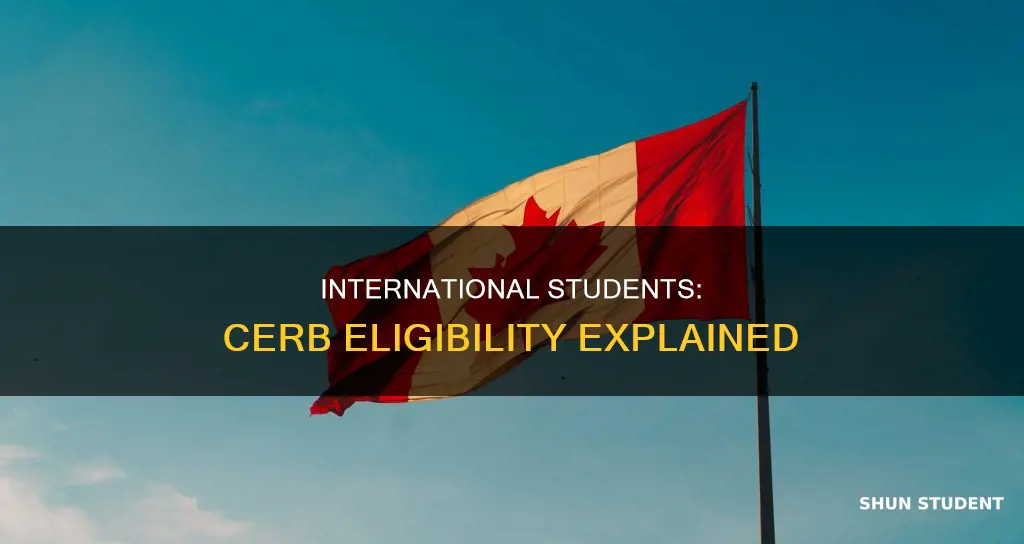 is international student eligible for cerb