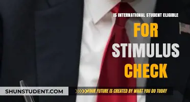 Stimulus Checks: Are International Students Eligible?
