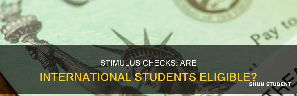 is international student eligible for stimulus check