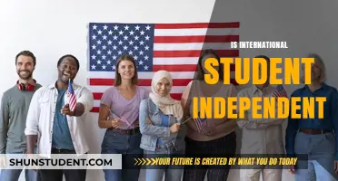 International Students: Are They Truly Independent?
