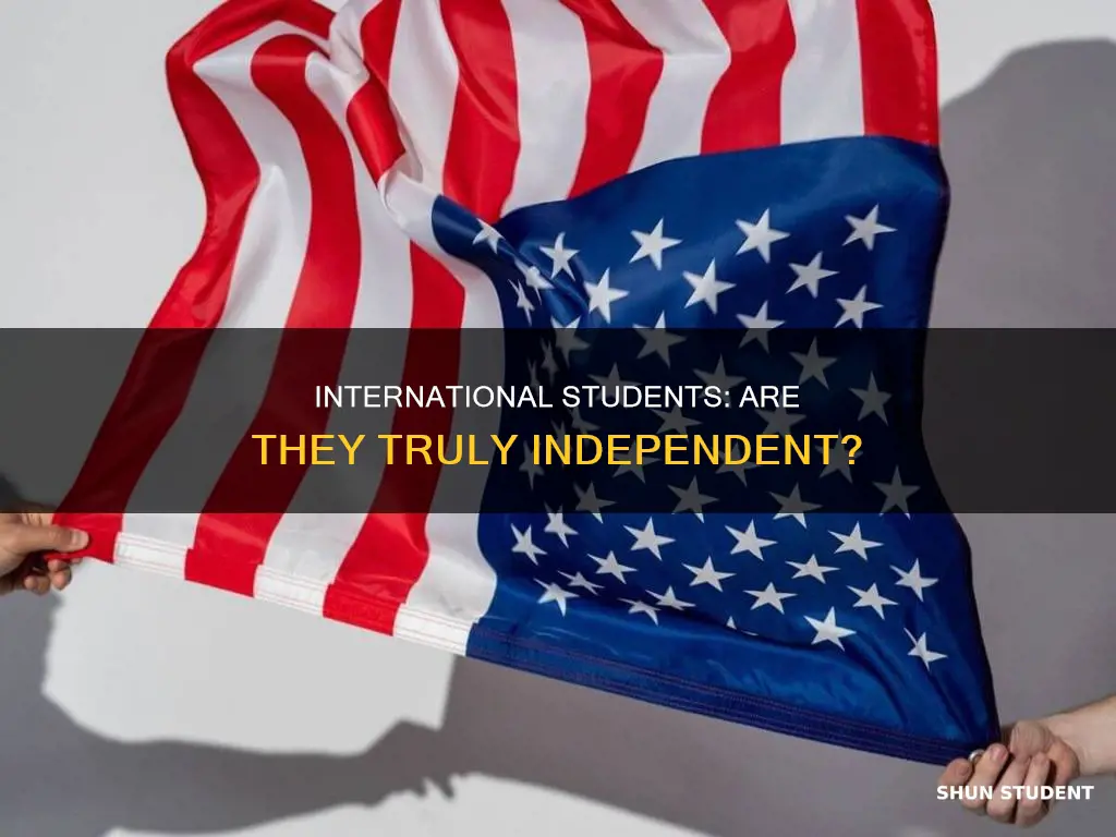 is international student independent