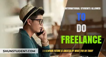 Freelancing as an International Student: What You Need to Know