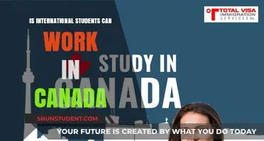 Working in Canada: Opportunities for International Students