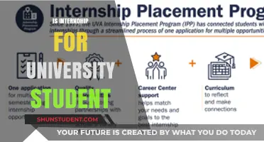 Internships: University Students' Path to Success