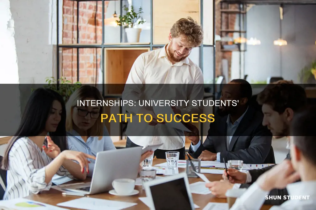 is interndhip for university student