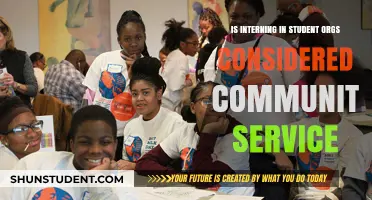 Interning in Student Orgs: Community Service or Not?