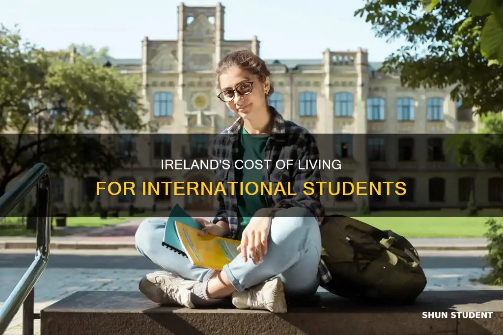is ireland expensive for international students