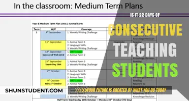 Consecutive Teaching Challenge: 22 Days of Engaging 8-10-Year-Old Students