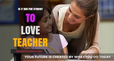 Student-Teacher Love: Ethical Boundaries and Emotional Consequences Explored