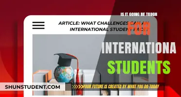 Navigating Challenges: International Students' Tough Road