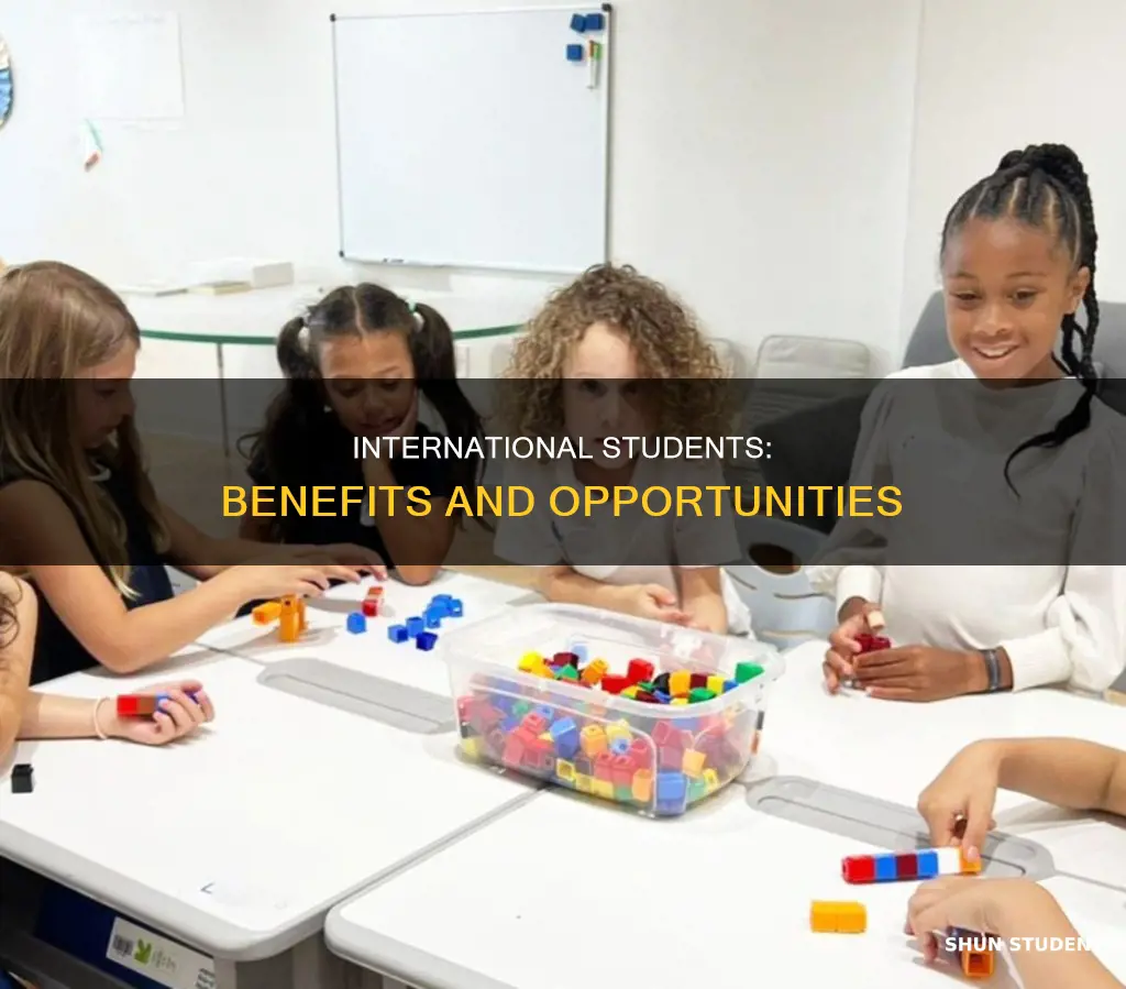 is it good to have international students
