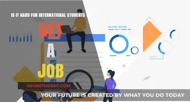 Challenges for International Students Seeking Employment