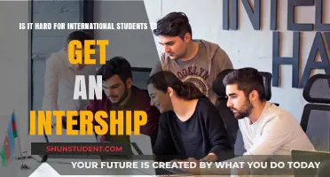 Navigating Internships: International Students' Challenges