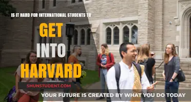 Aiming for Harvard? International Students, Take Note