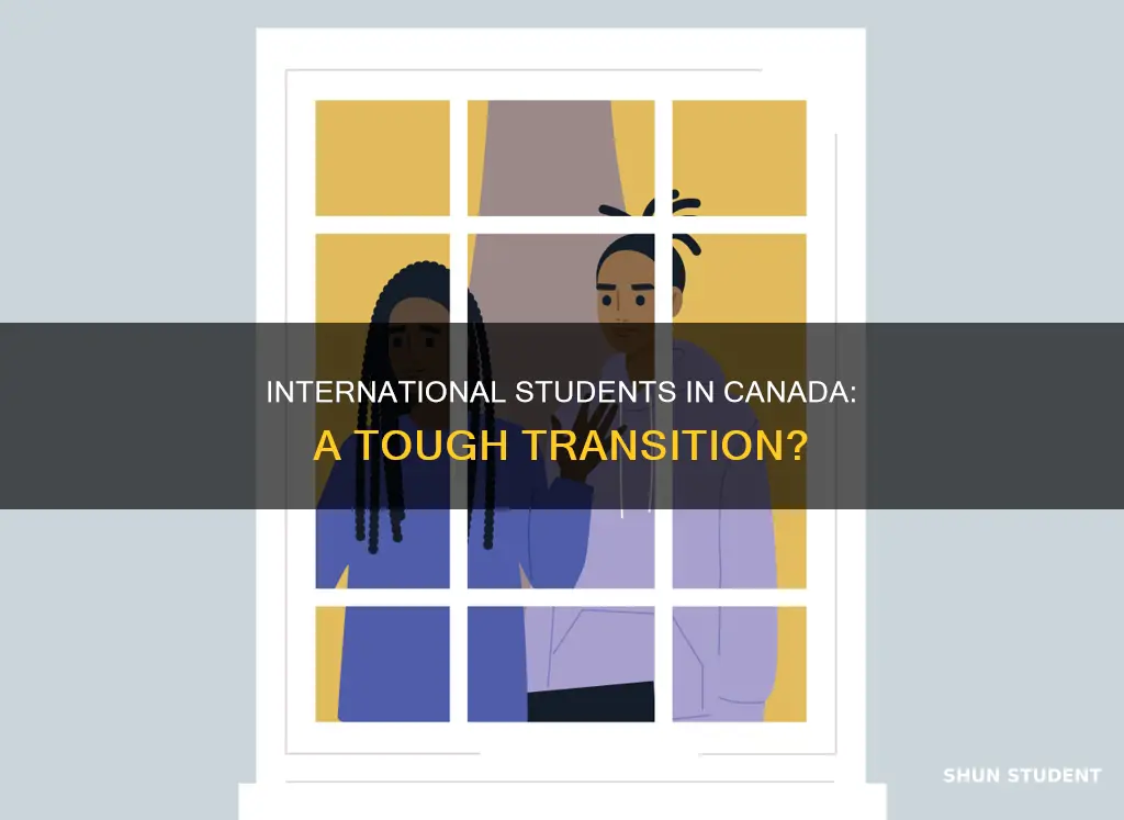 is it hard to be an international student in canada