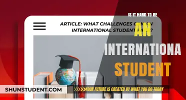 Challenges of International Students: Overcoming Academic Hurdles