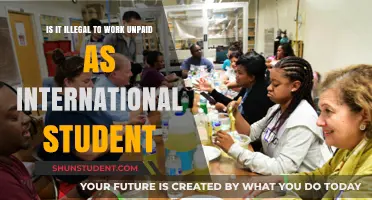 Unpaid Work: International Student Rights and Wrongs